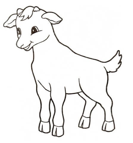 Little Calf Coloring Page